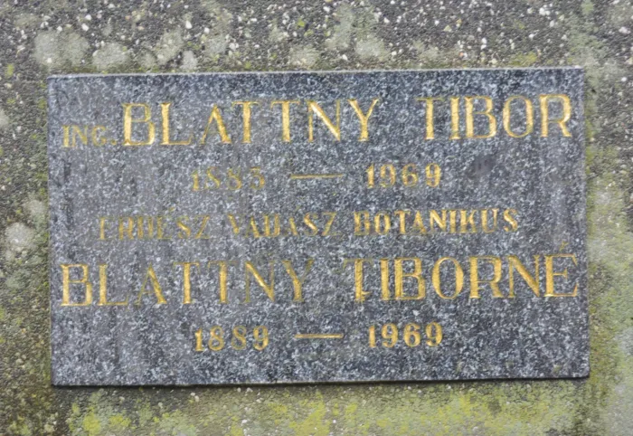 Master file0000078343