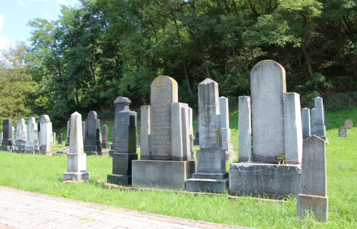 Master file0000074324