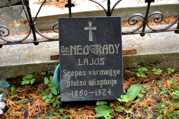 Master file0000078435