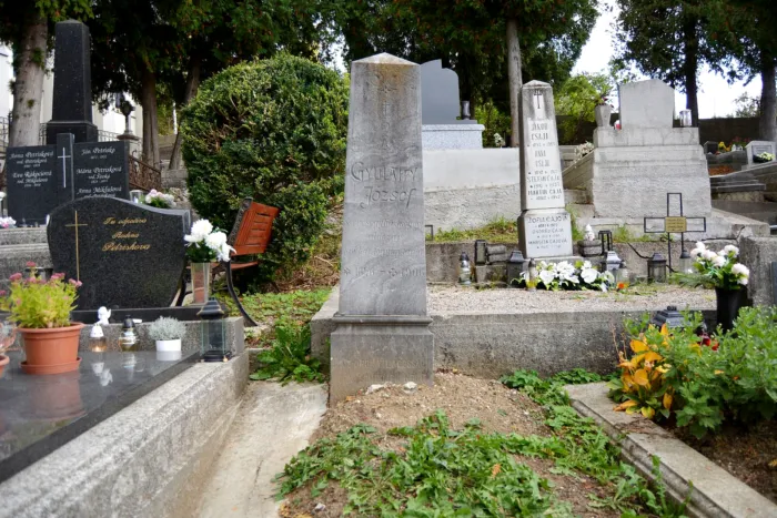 Master file0000077126