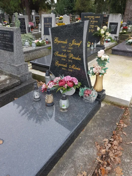 Master file0000061292