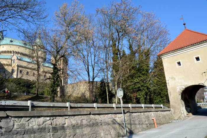 Master file0000073095