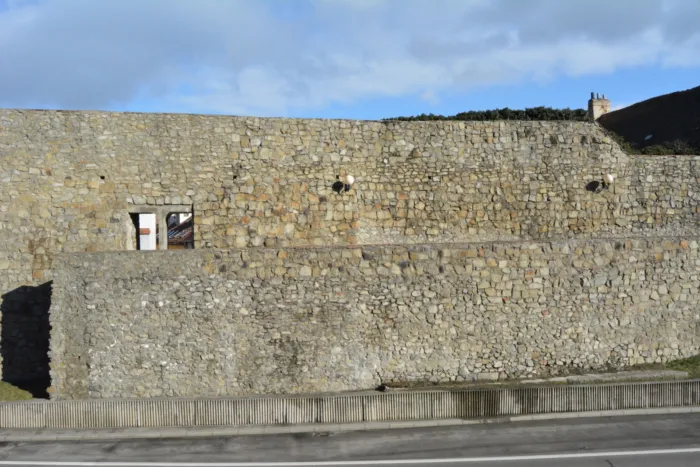 Master file0000068881