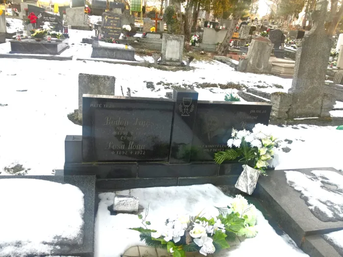 Master file0000065901