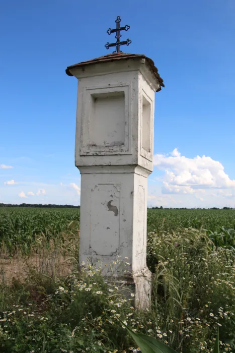 Master file0000060307