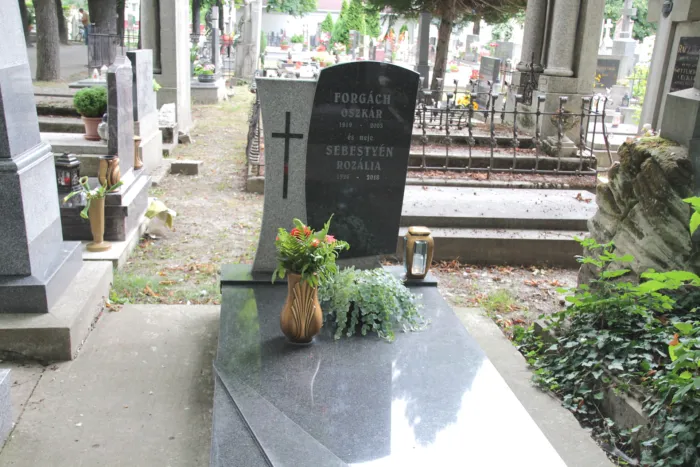 Master file0000077128