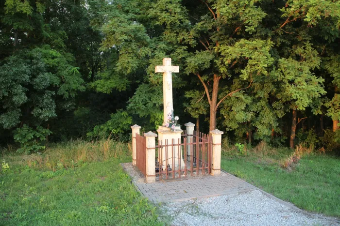 Master file0000068822