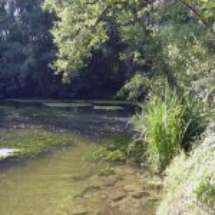 Master file0000040039