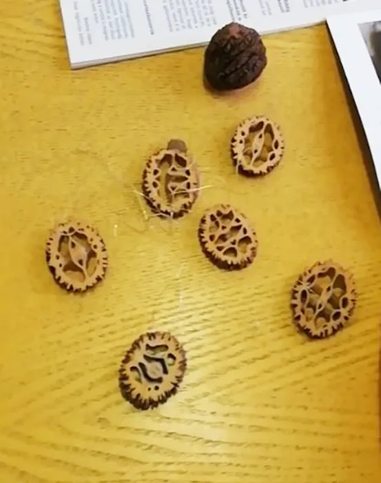 Master file0000039666