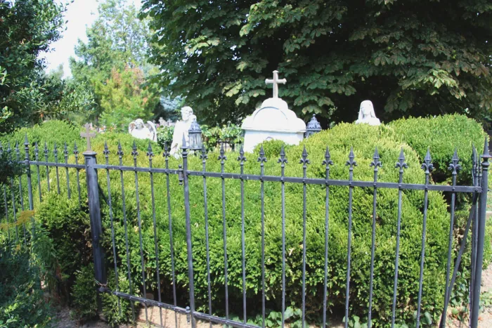 Master file0000060199