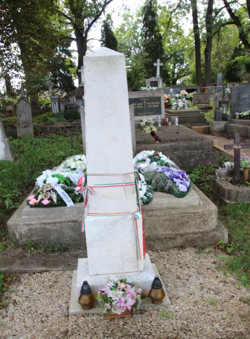 Master file0000074737