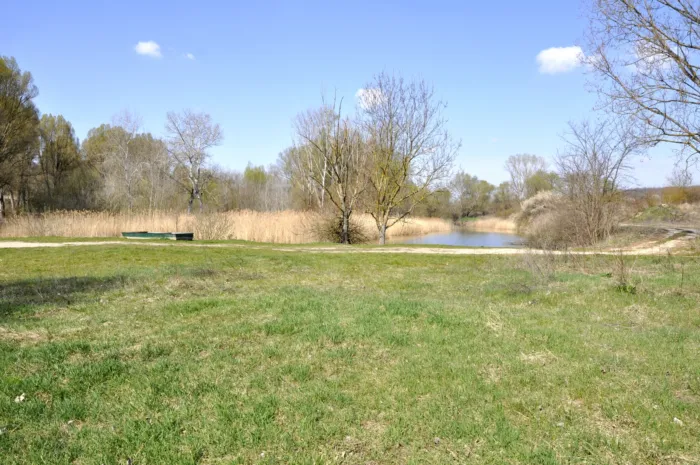 Master file0000039742