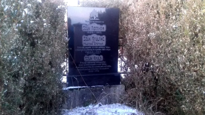 Master file0000072333