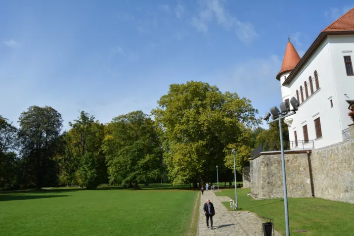 Master file0000061774