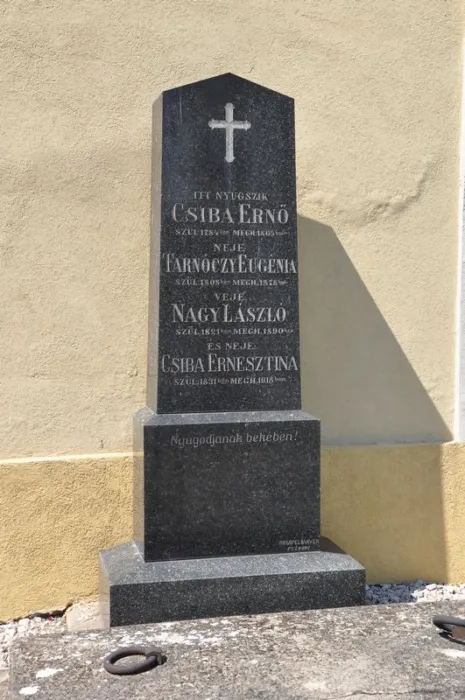 Master file0000074119