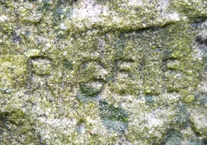 Master file0000079048