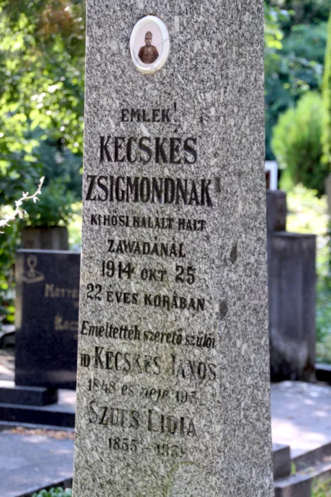 Master file0000071696