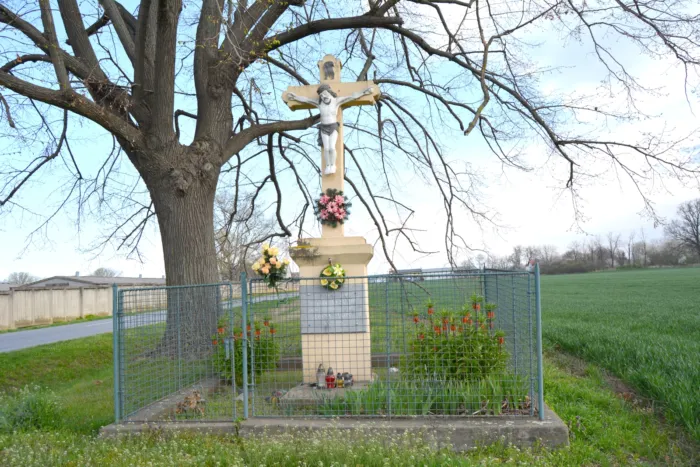 Master file0000069968