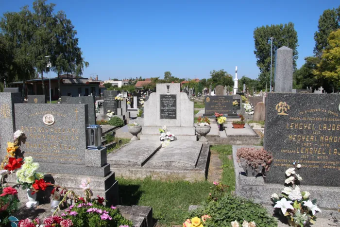 Master file0000076065