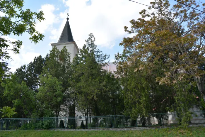 Master file0000069445