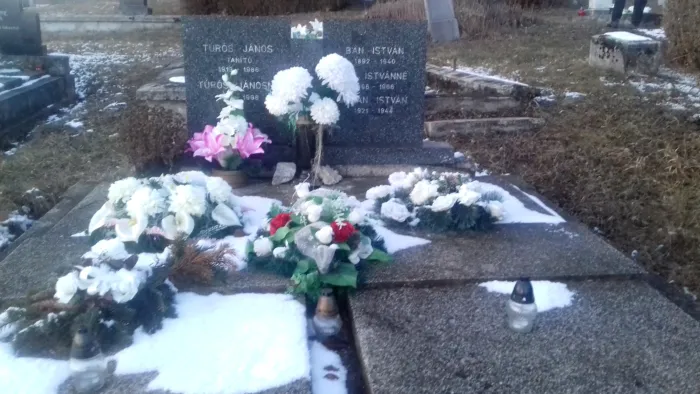 Master file0000067138