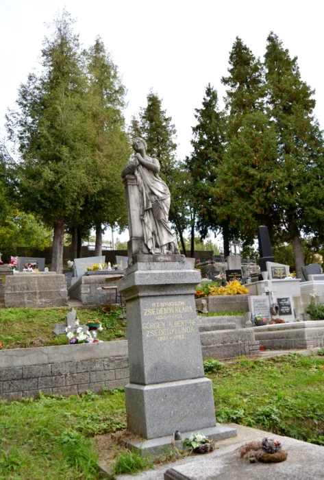 Master file0000080161