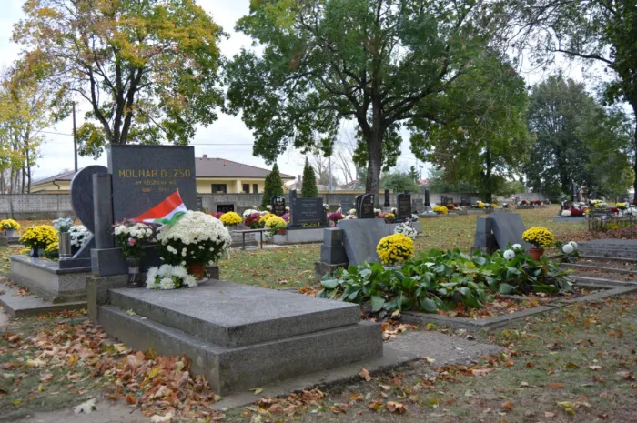 Master file0000080276