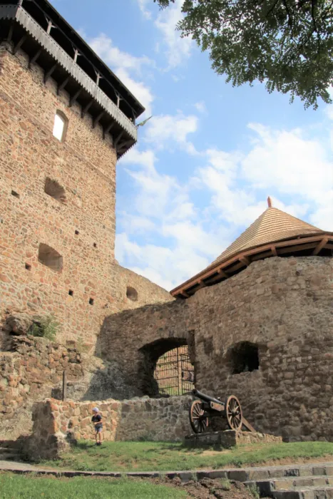 Master file0000070317