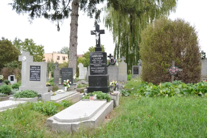 Master file0000073822