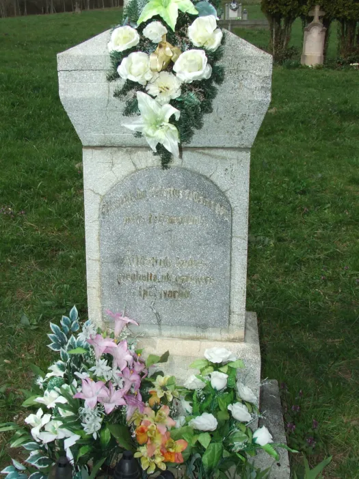 Master file0000079745