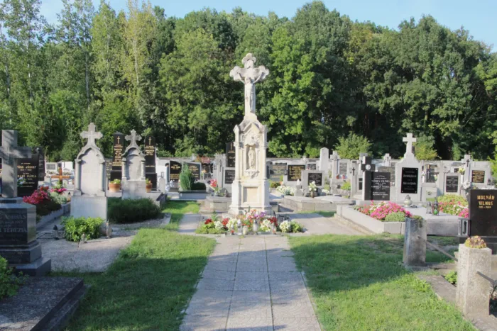 Master file0000069913