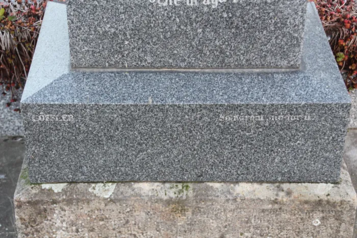 Master file0000069408