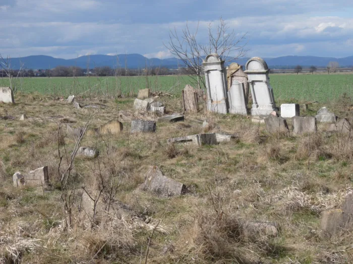 Master file0000074182