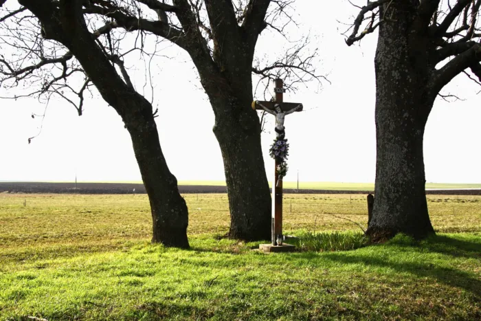 Master file0000074991