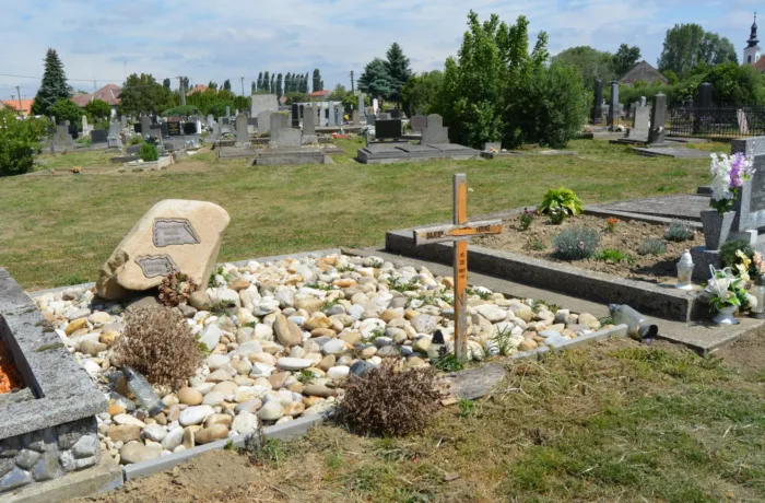 Master file0000076267