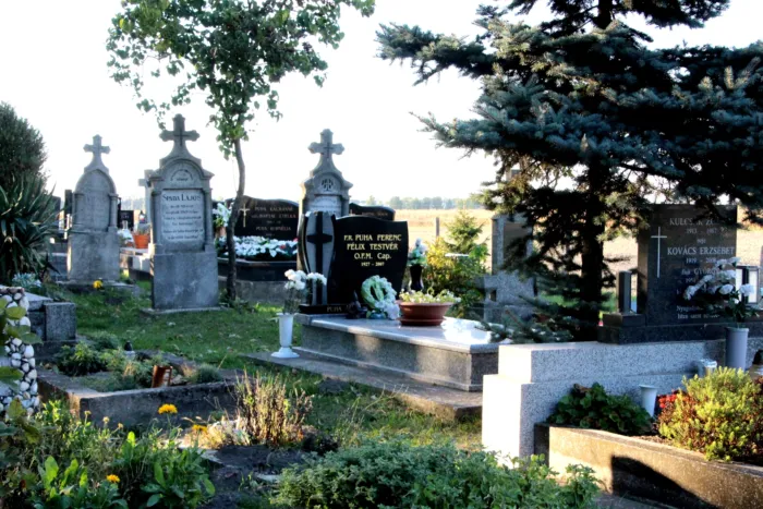 Master file0000076343