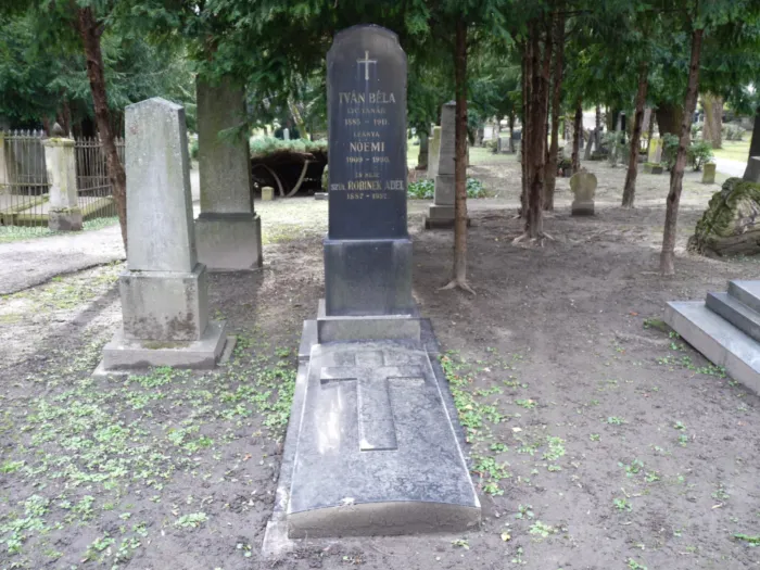 Master file0000068234