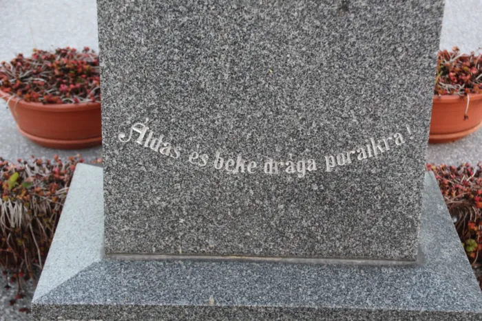 Master file0000076054