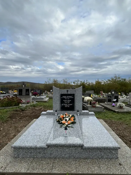 Master file0000081066