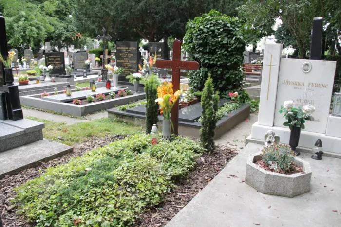 Master file0000075019