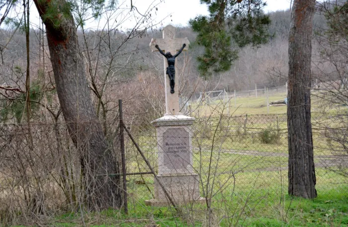 Master file0000073545