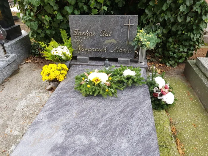 Master file0000079591