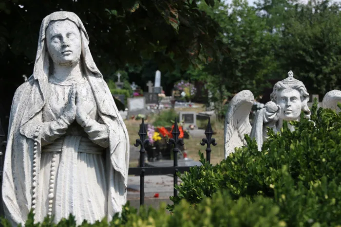 Master file0000079932