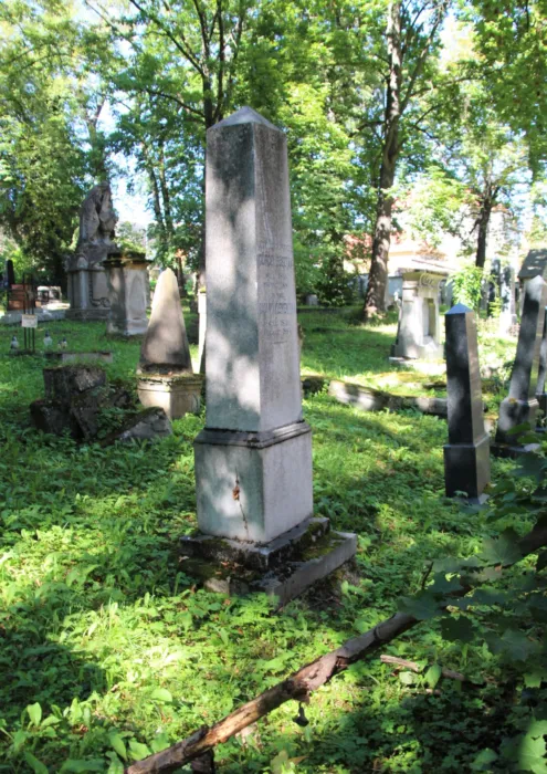 Master file0000077041