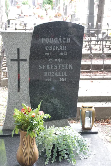 Master file0000078133