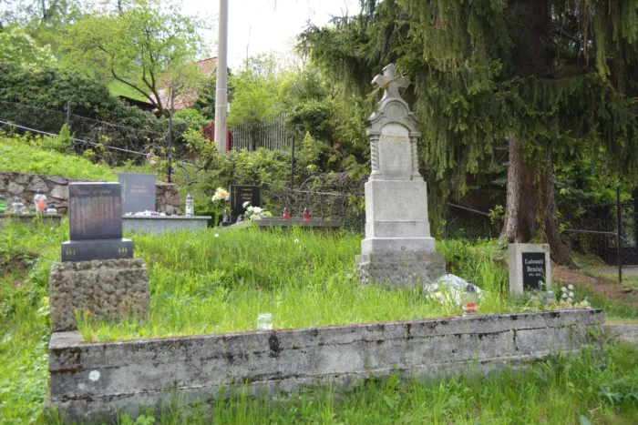 Master file0000072254