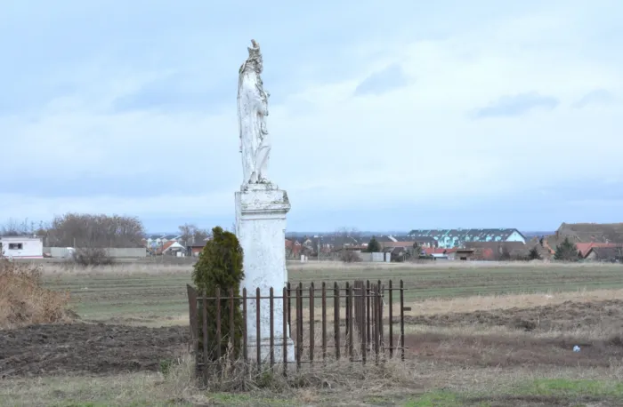 Master file0000078019