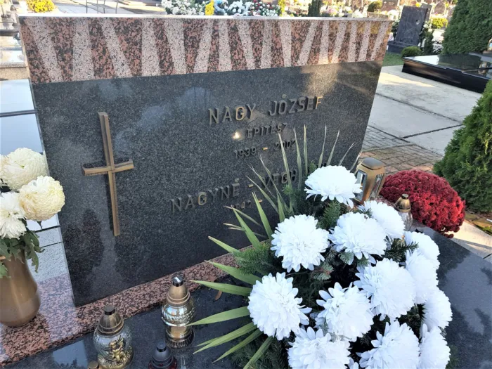 Master file0000060344