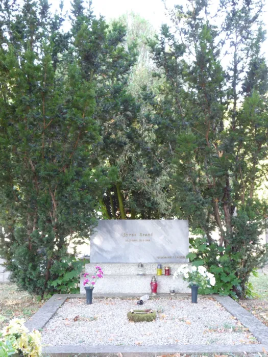 Master file0000076212