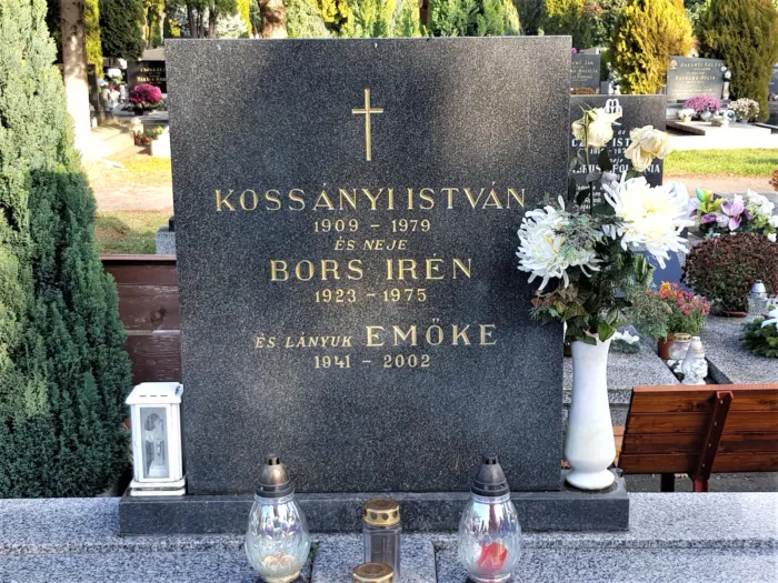 Master file0000067913